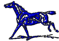 IMG_8428.GIF