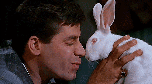 Jerry and Bunny.gif