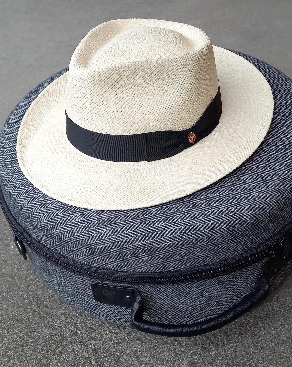 King panama and hat case.jpg