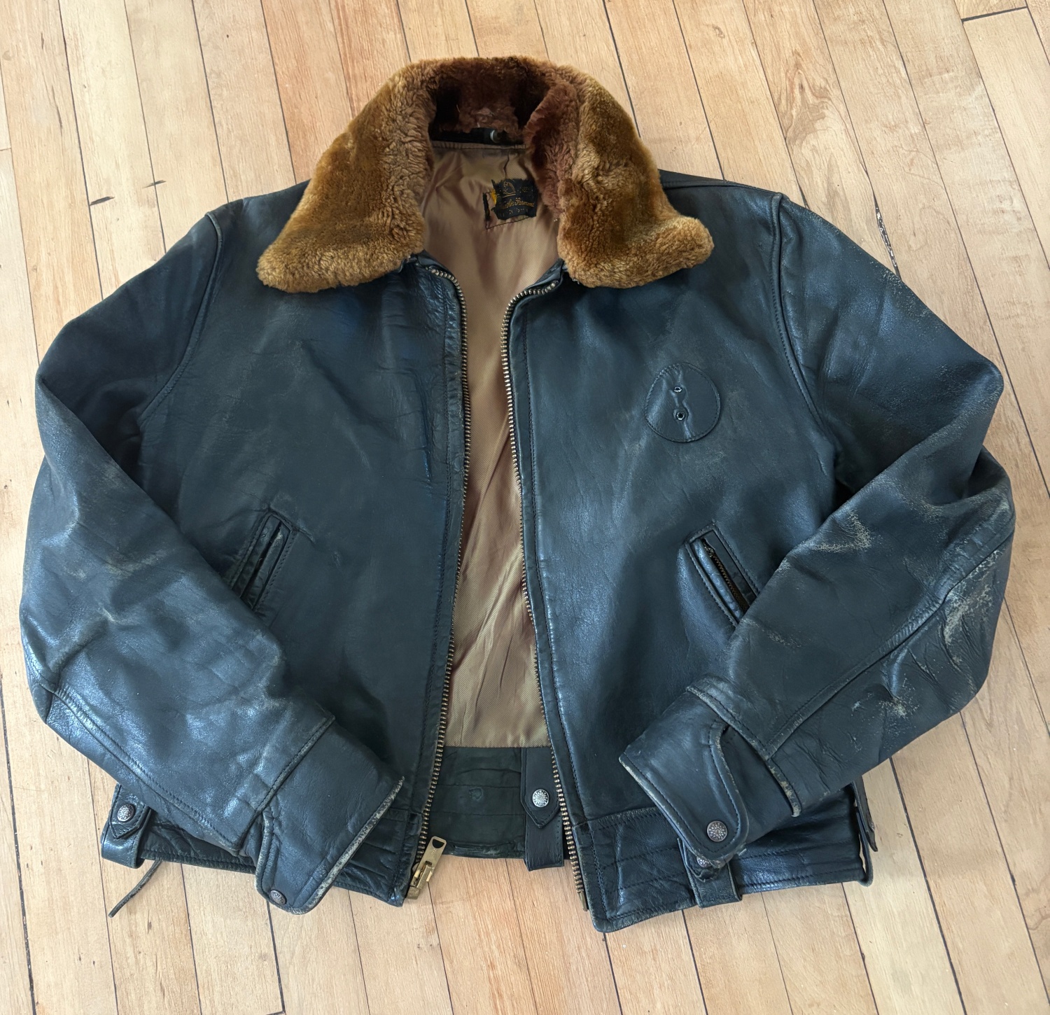 main with collar.jpg