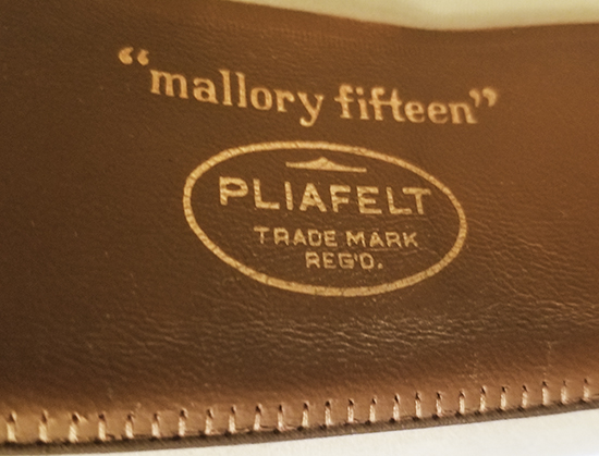 Mallory sweat Pliafelt.jpg