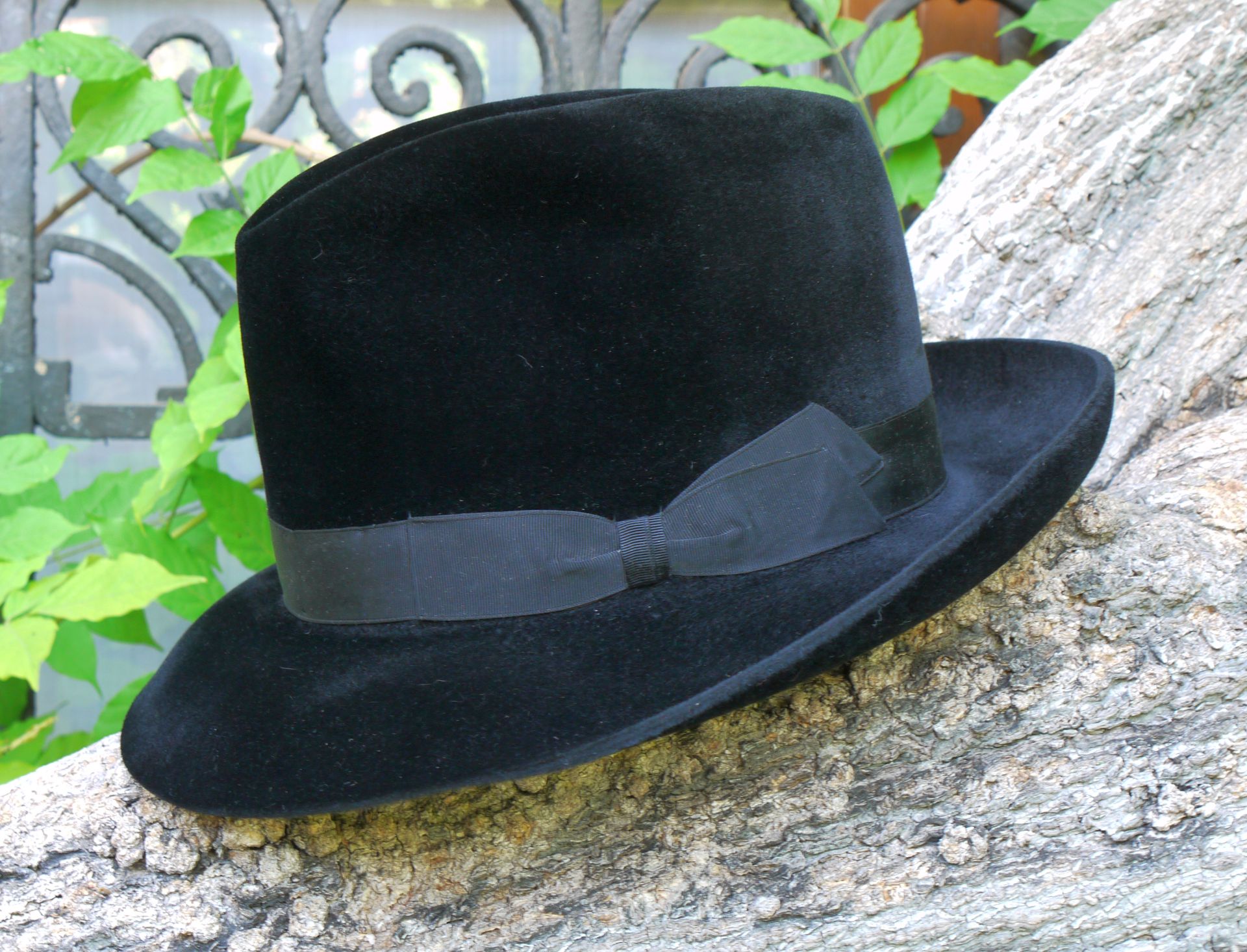 morvel-5-jpg.235798
