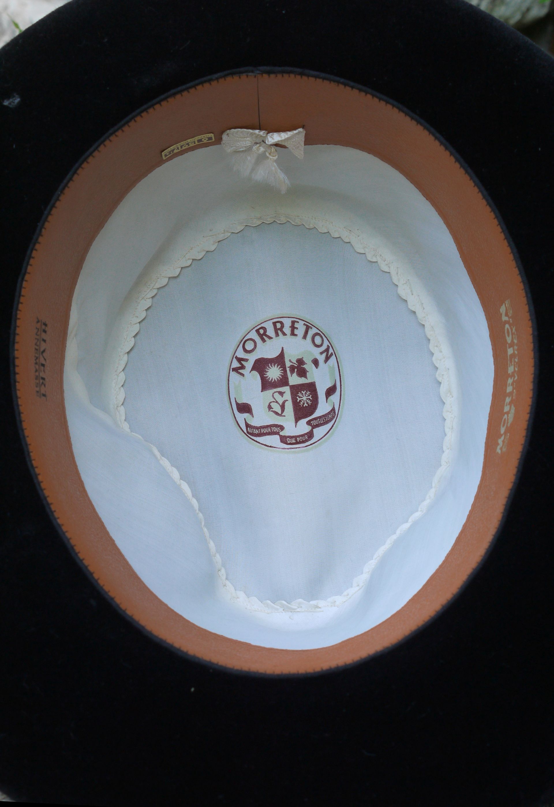 morvel-interno-totale-jpg.235795