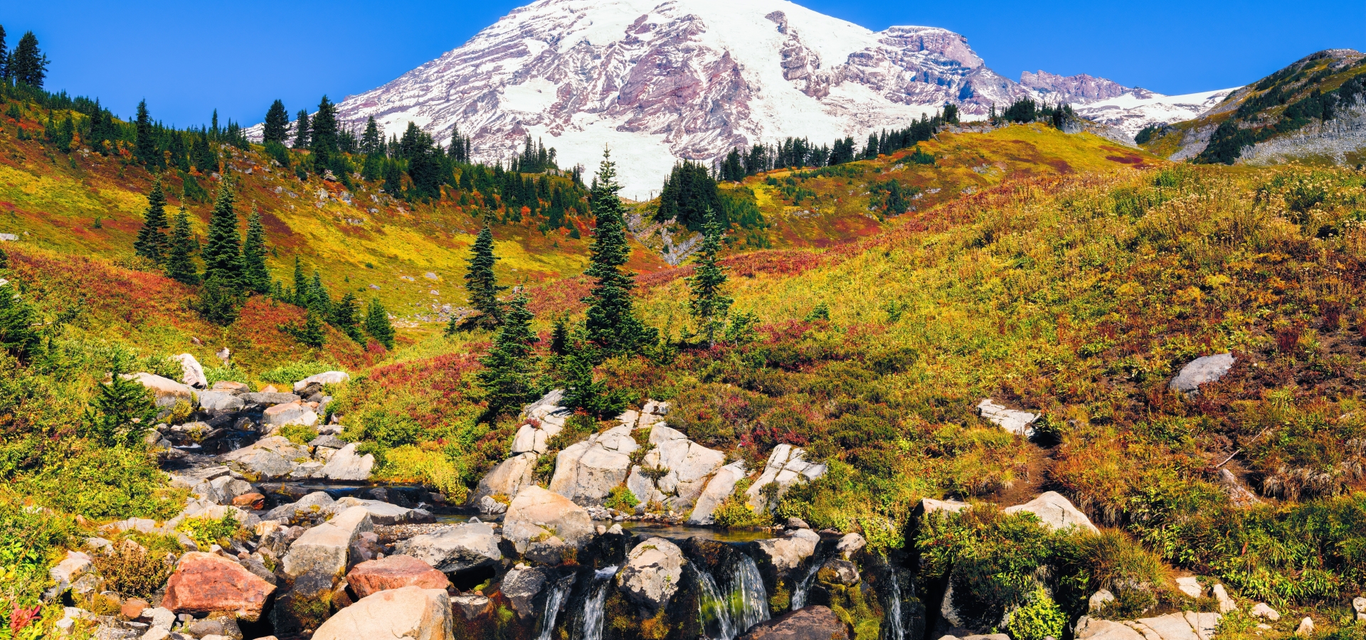 Mount Rainier autumn.jpg