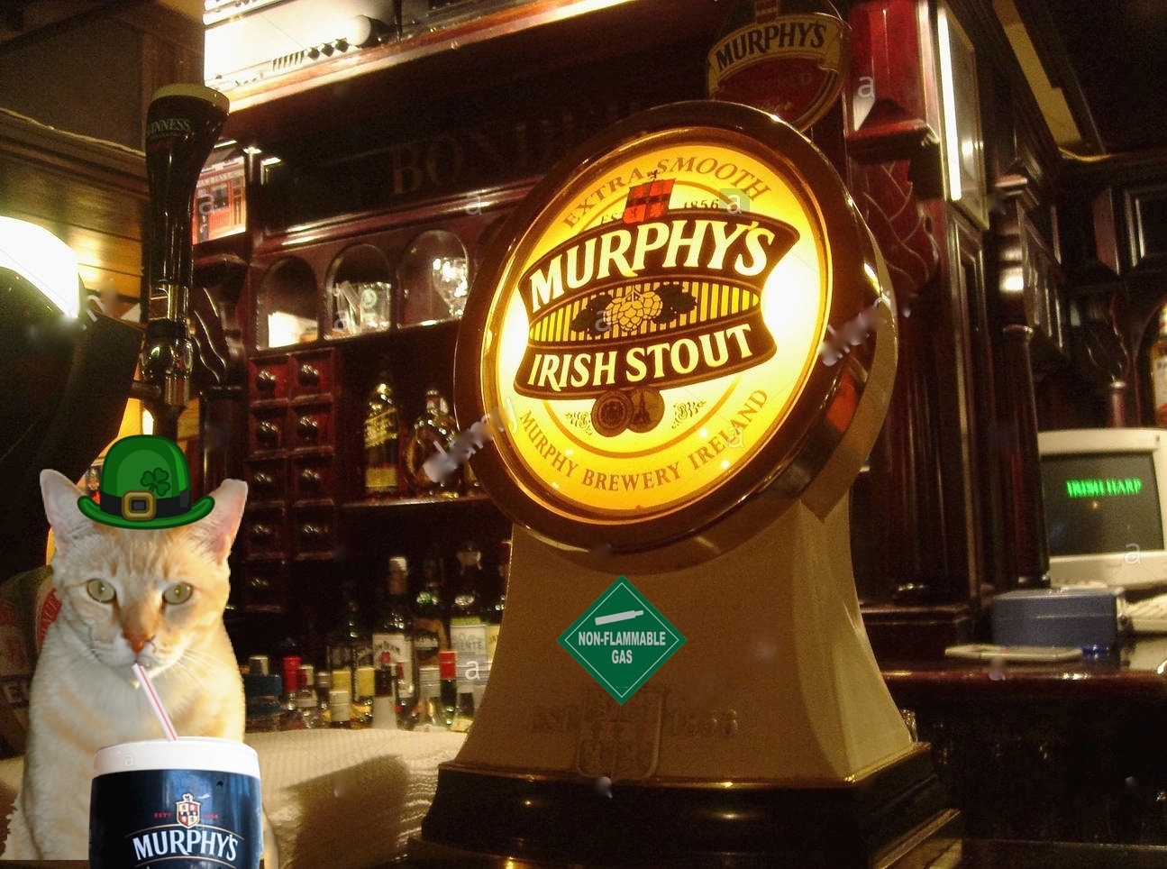 murphys-irish-stout-pump-clip-in-an-irish-pub-sofia-bulgaria-C5K197.jpg