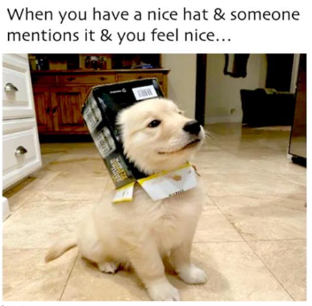 puppy hat.png