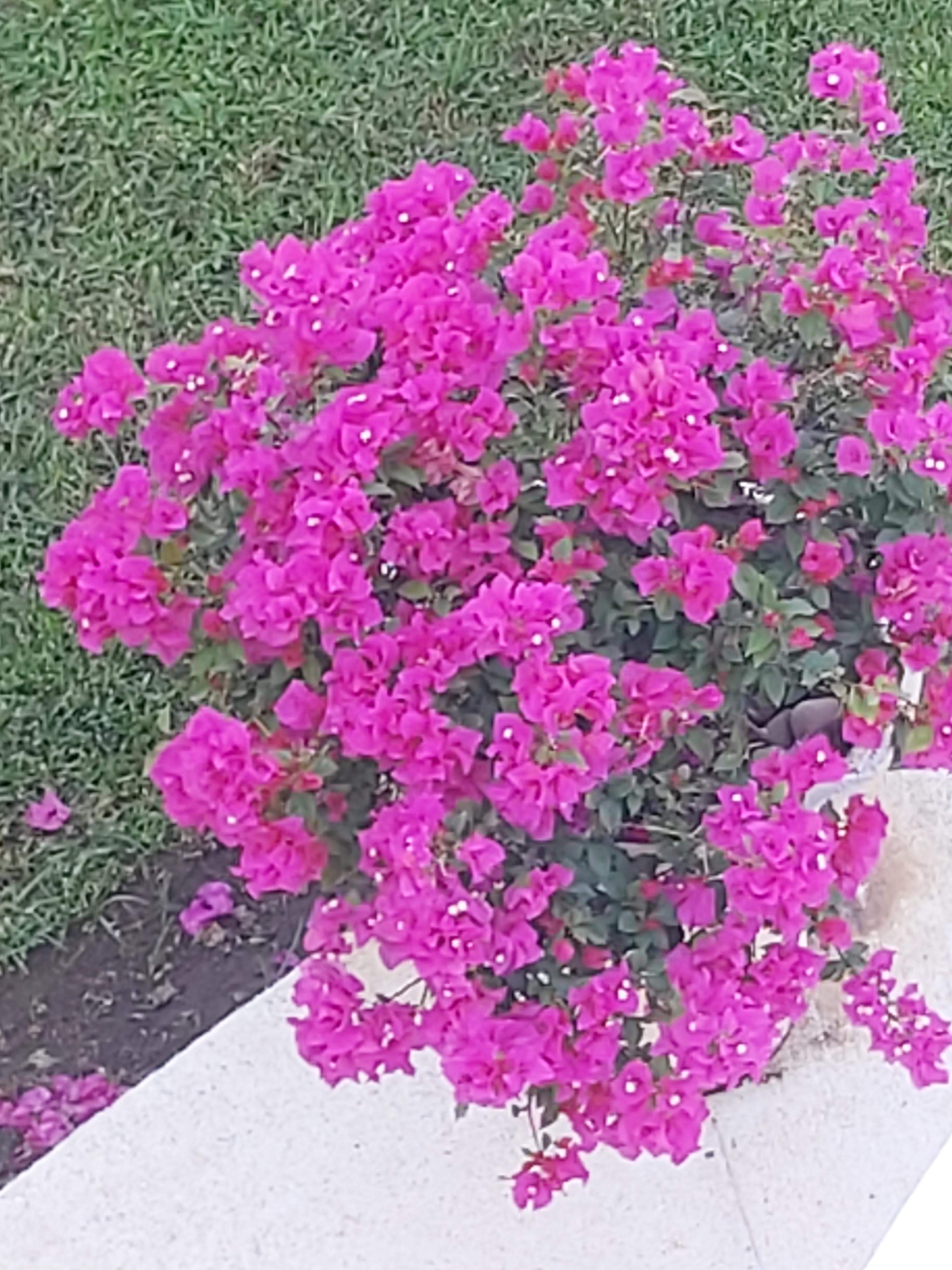 received_395231048491323.jpeg