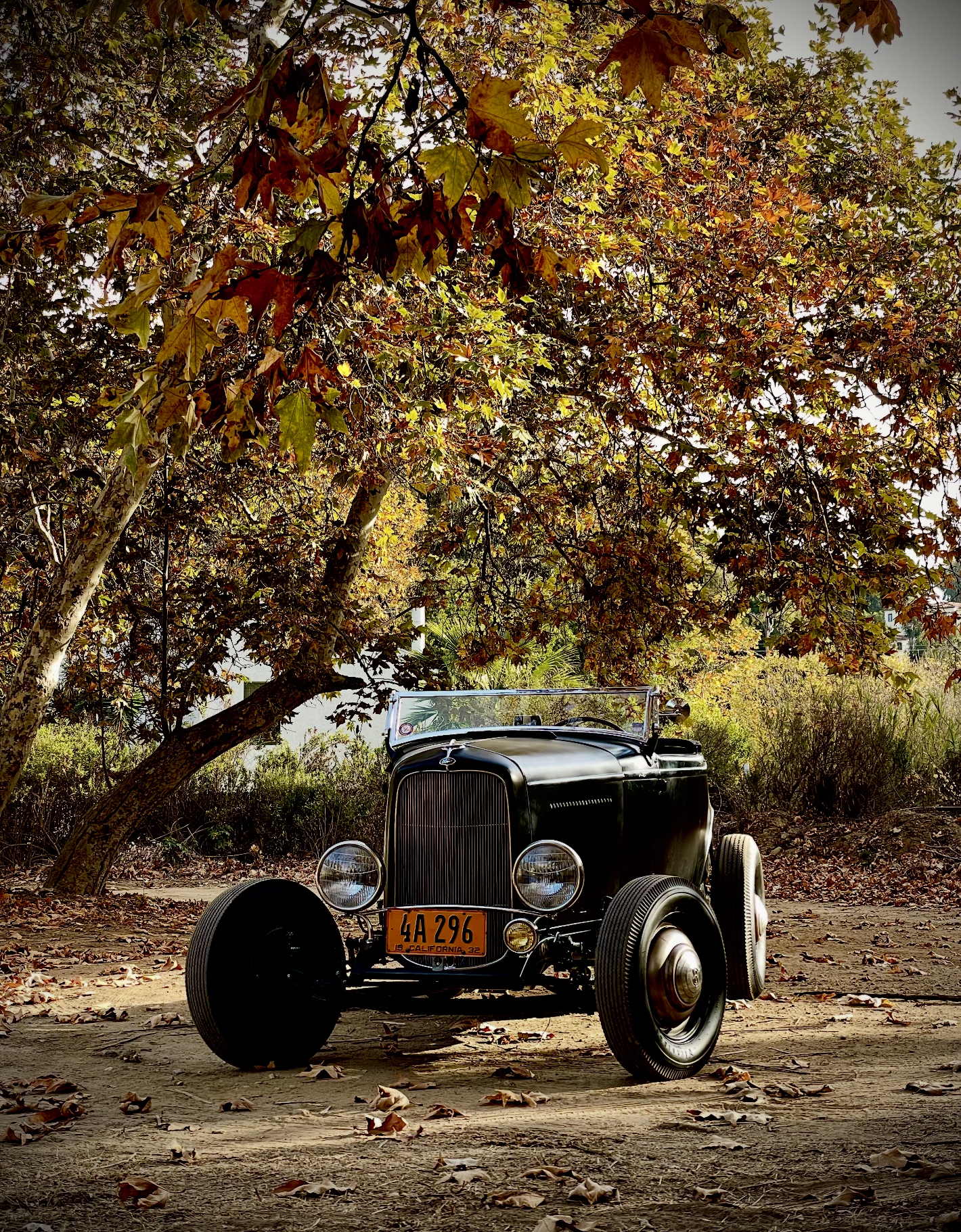 roadster_lasflores.png