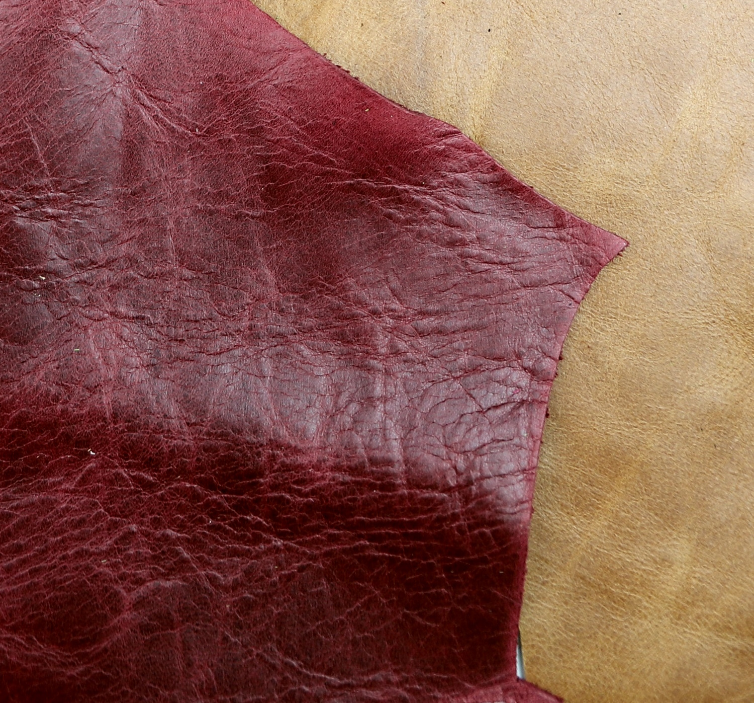 Roma leather colors 2.jpg