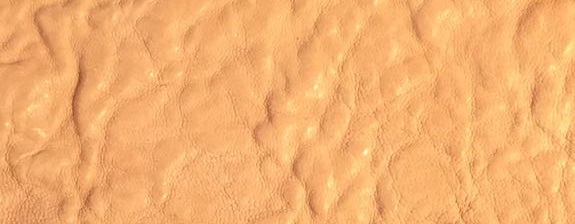 Sand Capeskin.jpg