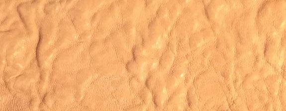 Sand Capeskin.jpg