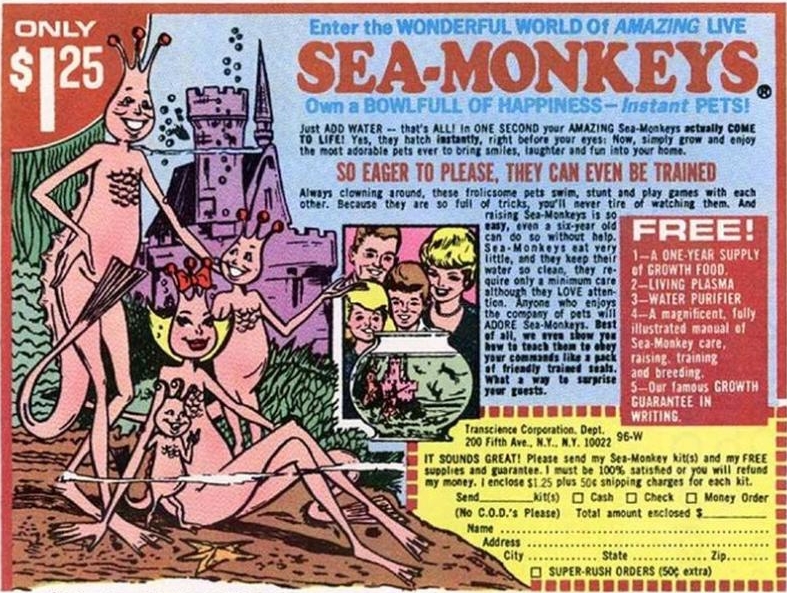 sea monkeys_56755_articleimage_original.jpeg