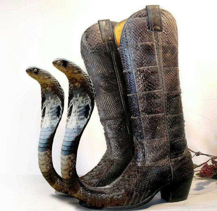 snake boots.jpg