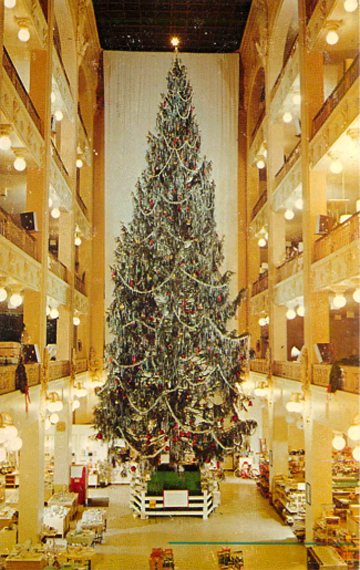 Sterling-Lindner-Davis-Christmas-tree-1.png