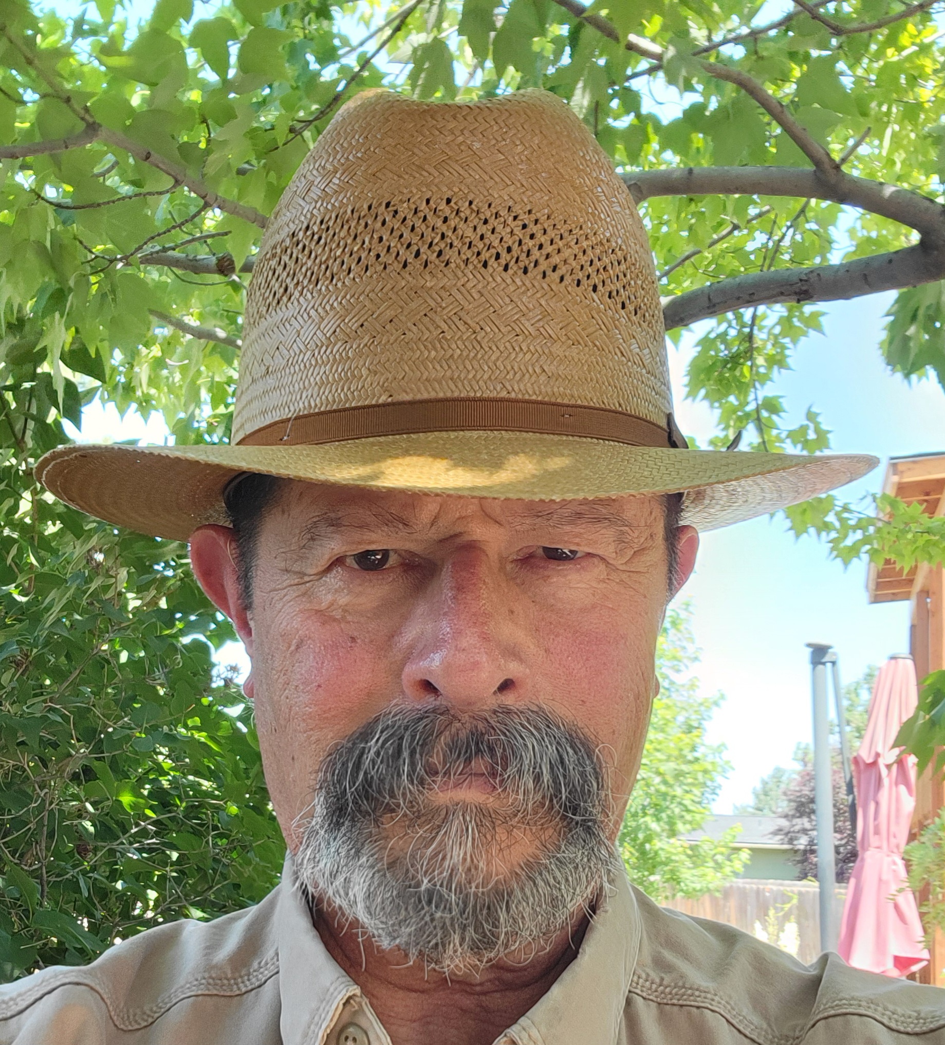 Stetson OR cognac daily a.jpg