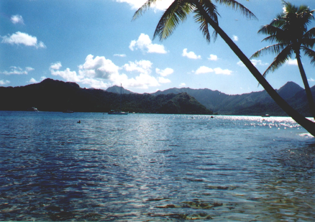 tahiti-blue-palms[1].JPG