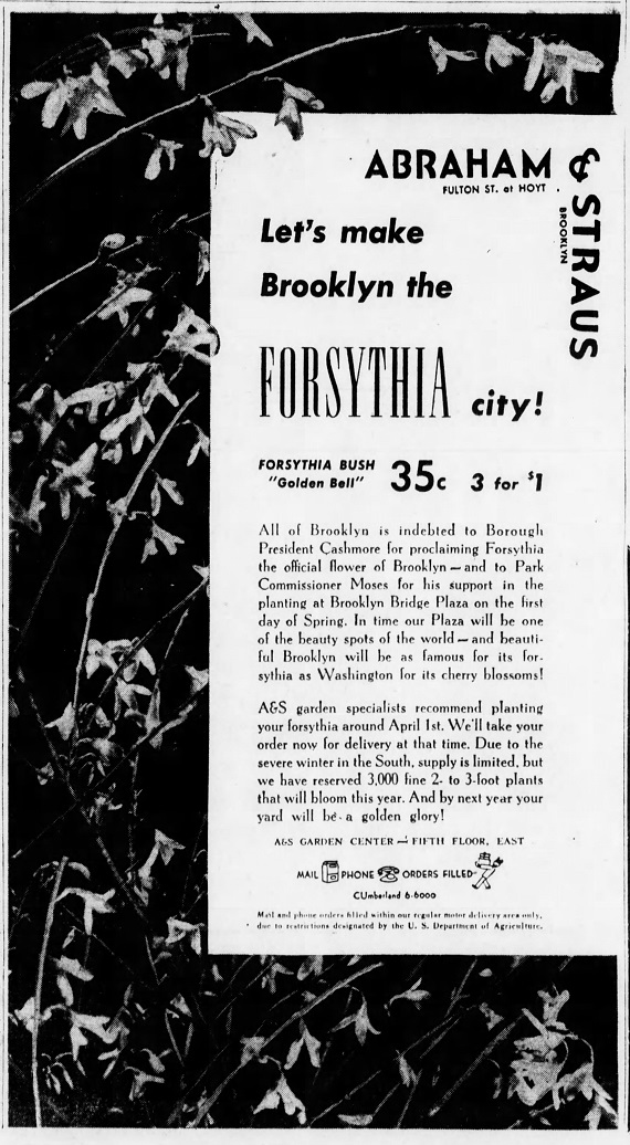The_Brooklyn_Daily_Eagle_Fri__Mar_22__1940_(1).jpg