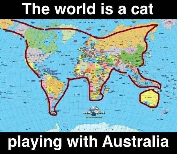 The_World_Is_A_Cat.jpg