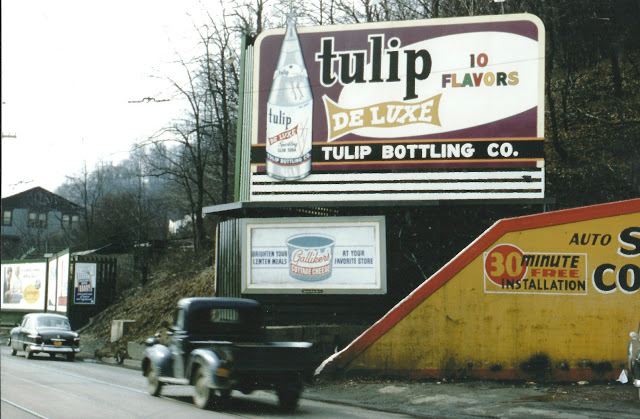 Tulip - 1950's.jpg
