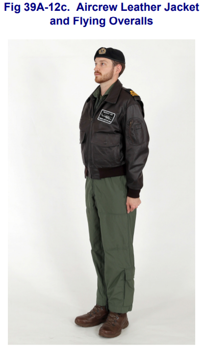 Fleet air deals arm leather jacket