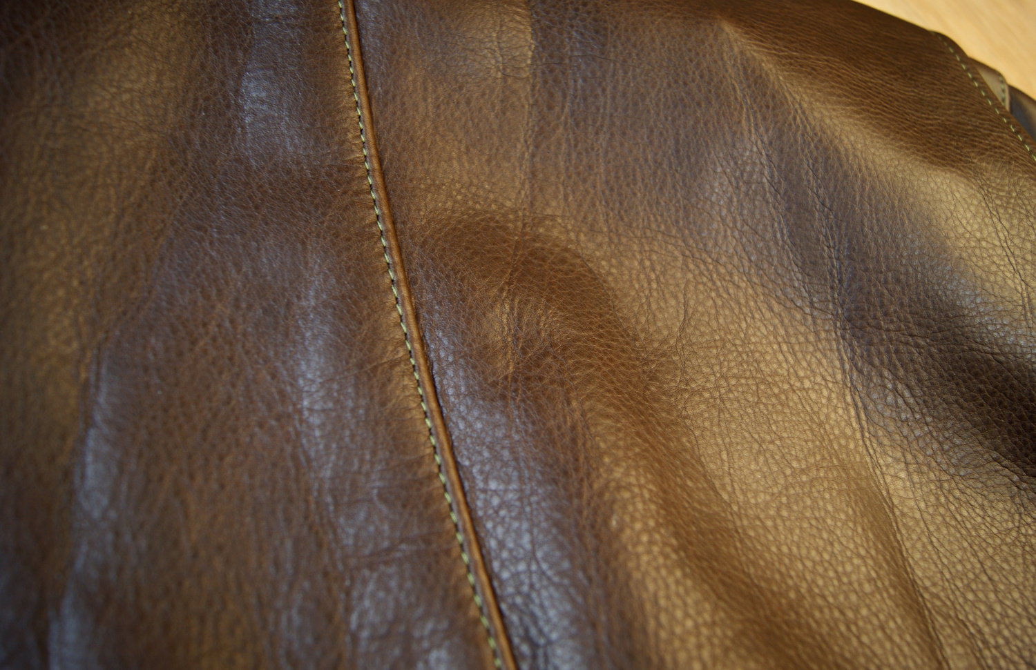 Vanson Oxford Whidley leather upper back.jpg