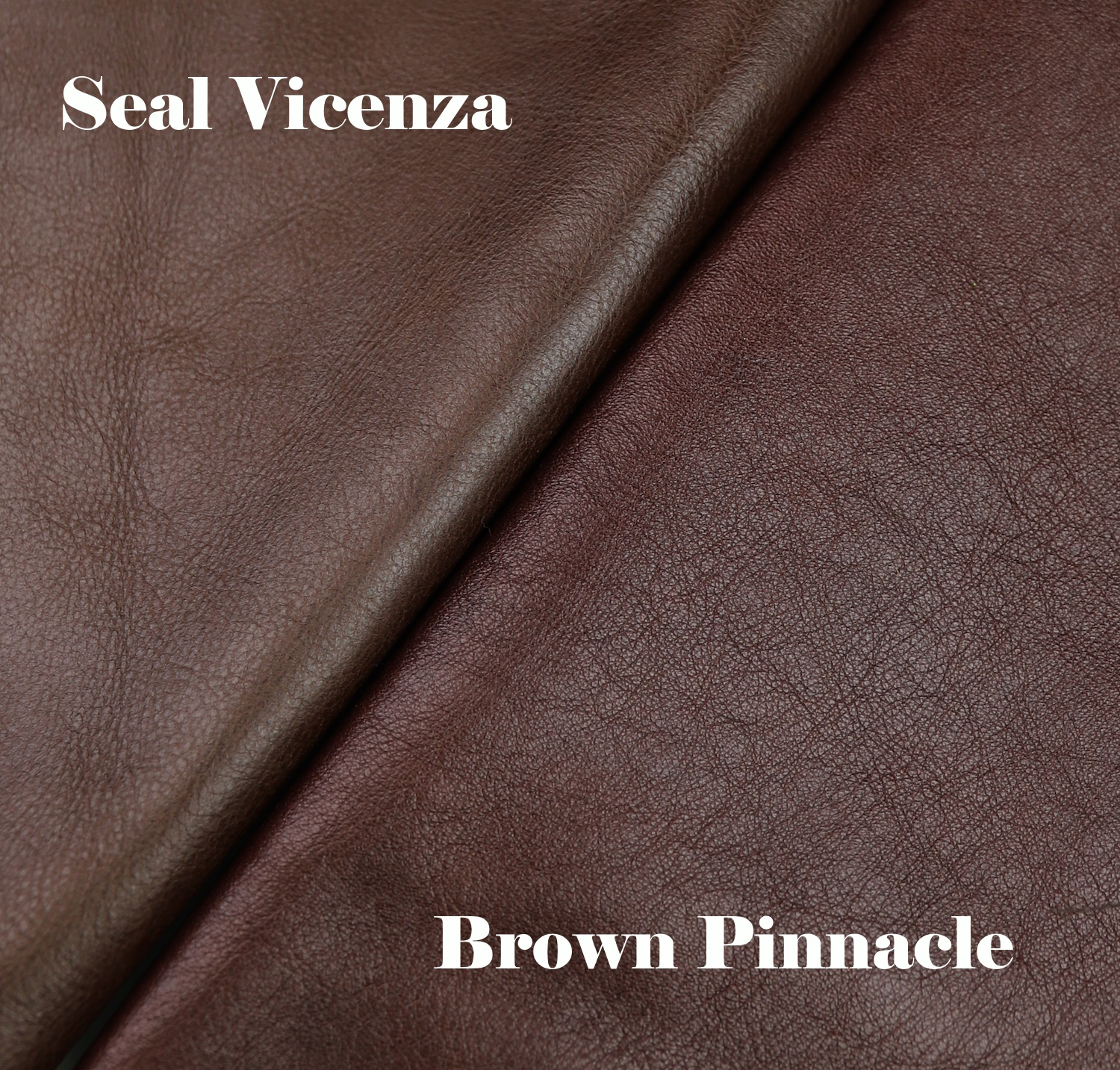 Vicenza Brown Pinnacle color comparison 2.jpg