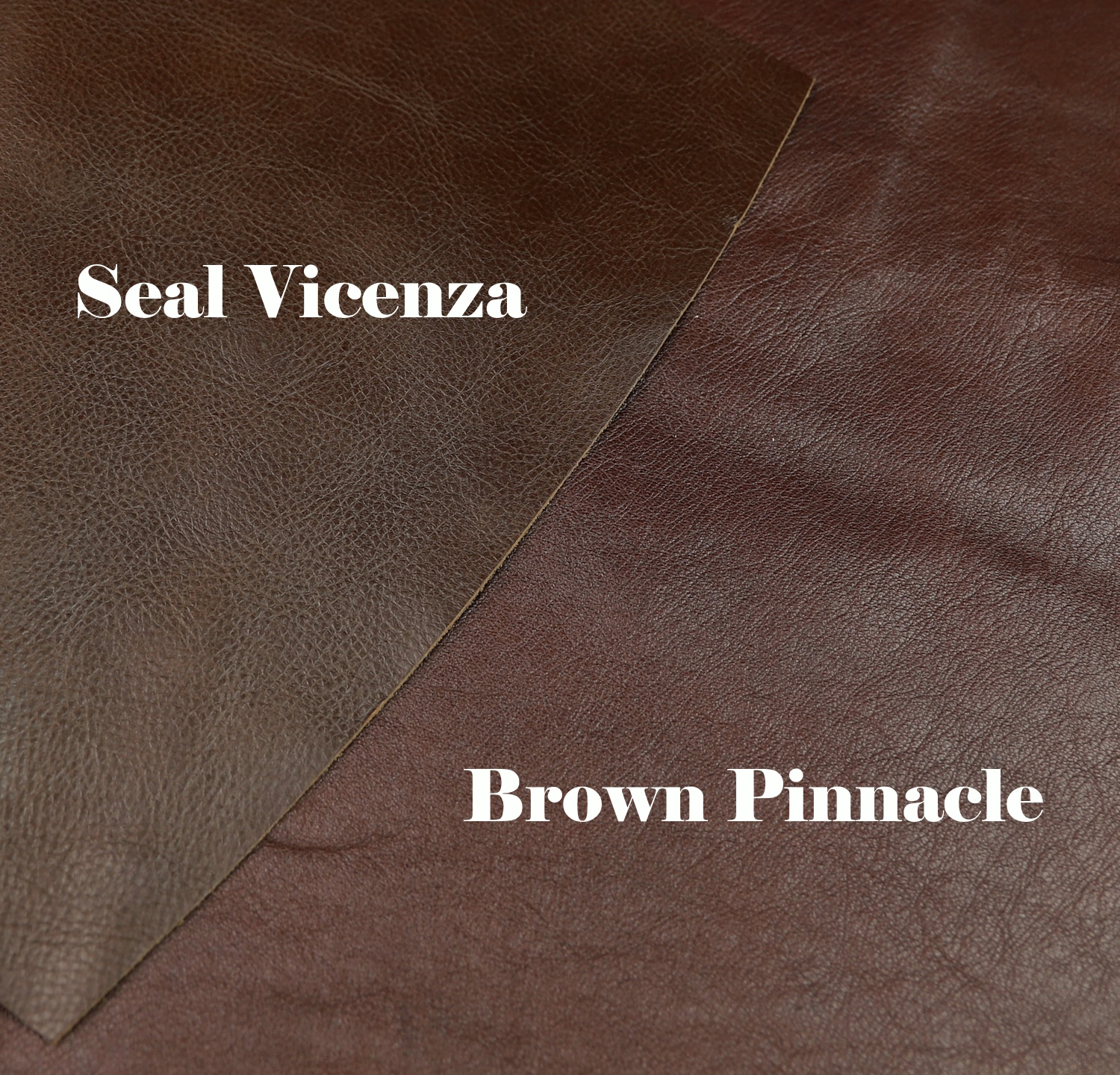 Vicenza Brown Pinnacle color comparison.jpg