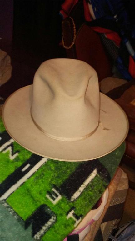 walden hat2 (Large).jpg