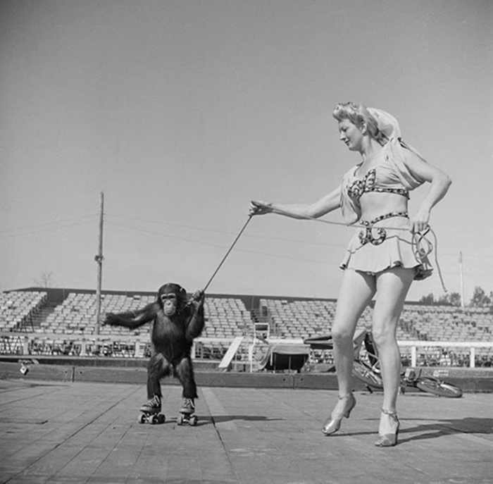 woman and chimp_vintage-photographs-new-york-street-life-stanley-kubrick-18-59a9551395e10__700.jpg