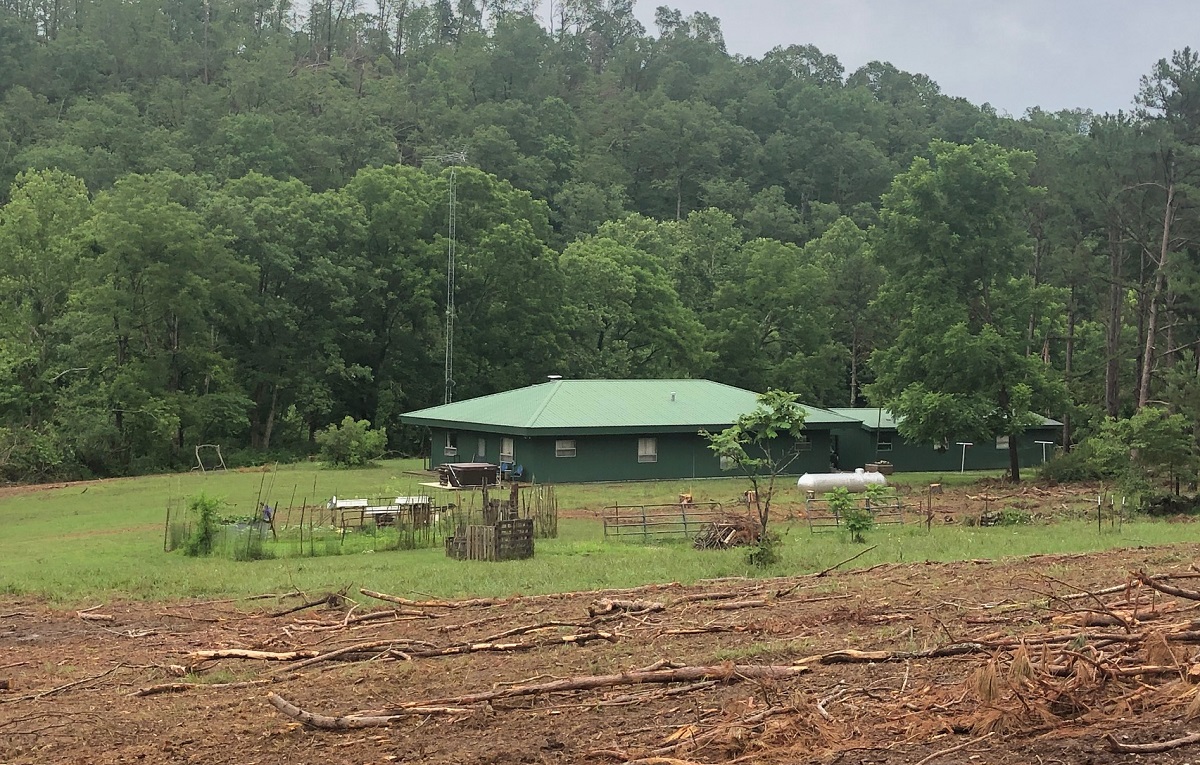 yard_2020.jpg