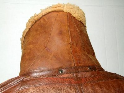 14 BACK collar up .jpg