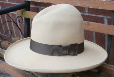 hat #33 sold $70 to Hank III.jpg