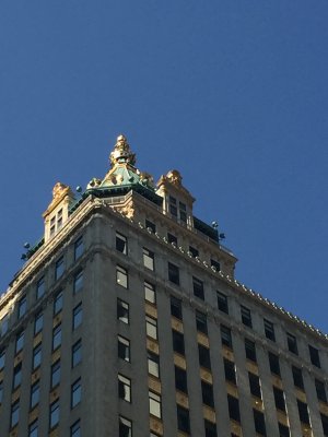 IMG_5030.JPG IMG_5030.JPG