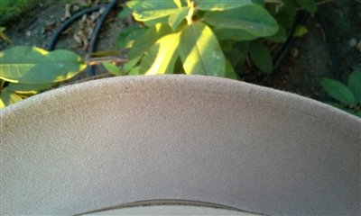 8010950001201-5T.jpg 8010950001201-5T.jpg