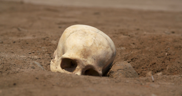 skull-in-a-desert_hazlh4mujl_thumbnail-full01.png