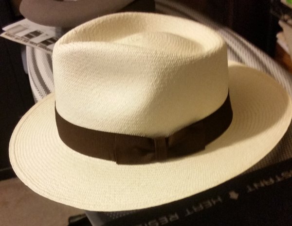 Panama Hat Dir1 (2).jpg