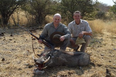 August 2014, Namibia - Warthog.jpg