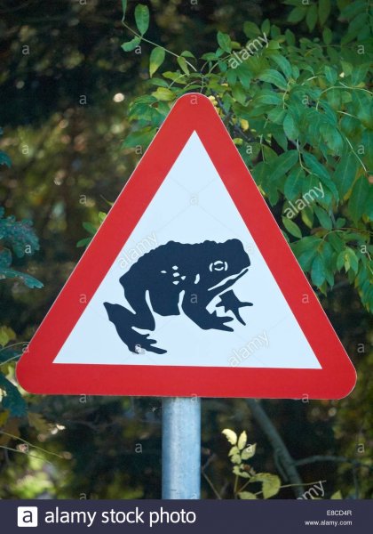 frog-warning.jpg