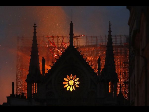 Notre Dame 1.jpg