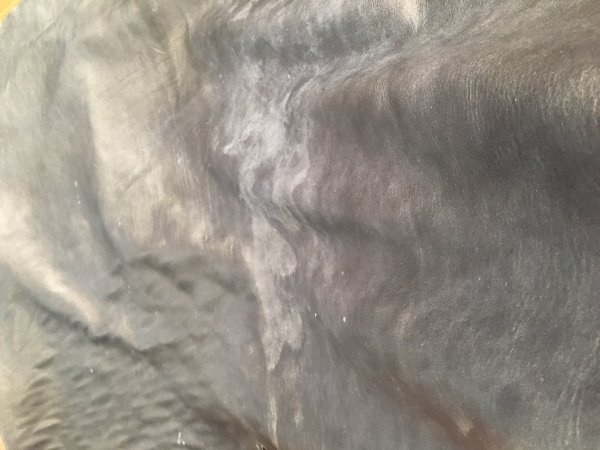 7255D36B-8492-4140-B003-D4914FEB330E.jpeg