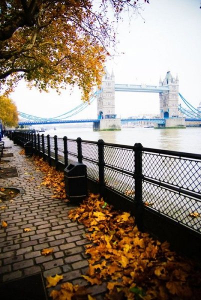 autumn-london1.jpg