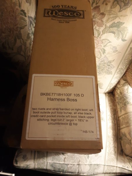 20191105_181902 smaller.jpg