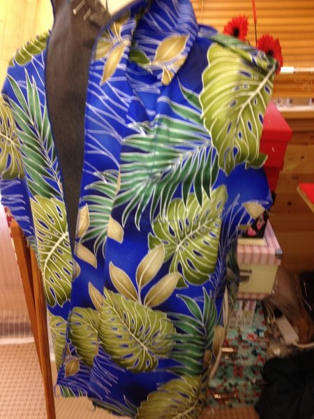 gary's aloha shirt 003.JPG gary's aloha shirt 003.JPG