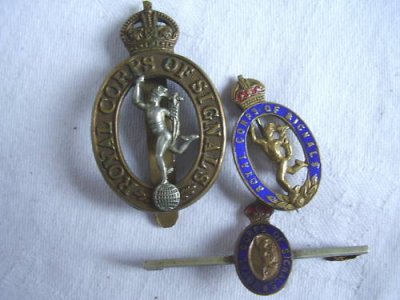 RoyalSigsbadges.JPG