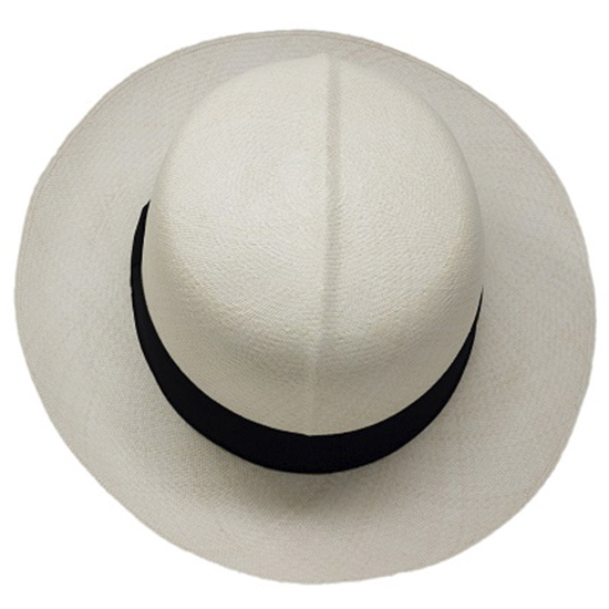 panama hat.2.jpg