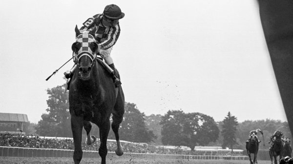 SPNM16_JOCKEY03web.jpg