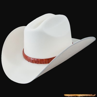10000x-los-altos-hats-straw-western-cowboy-hat-exotic-hat-band-1.jpg
