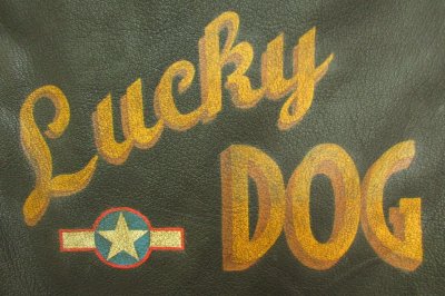 LuckyDogColour#17.JPG