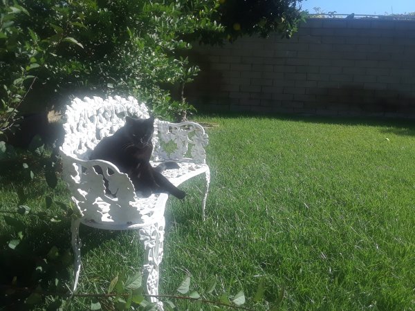 20201109_100047.jpg