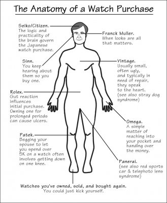 anatomy.jpg anatomy.jpg